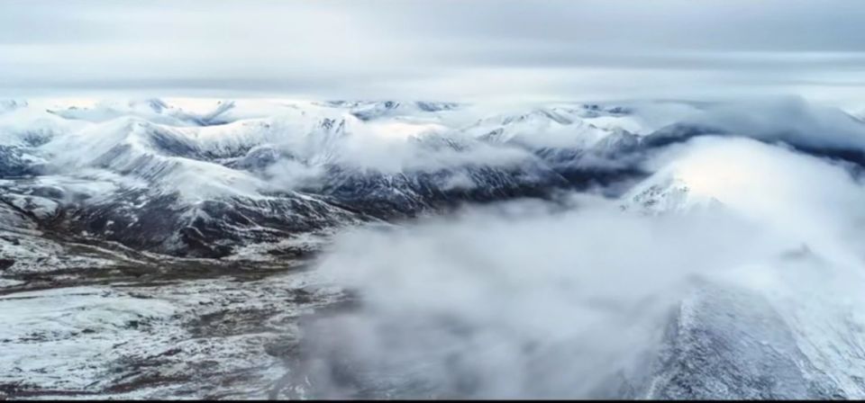 武林风百姓, 与坚韧